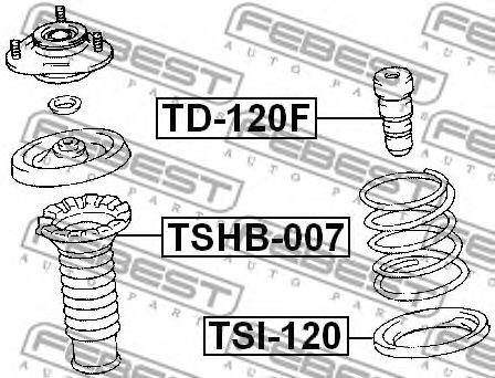 TSHB-007