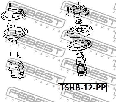 TSHB-12-PP