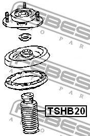 TSHB20
