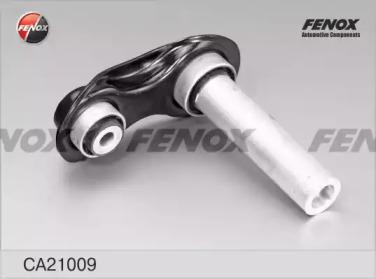 CA21009