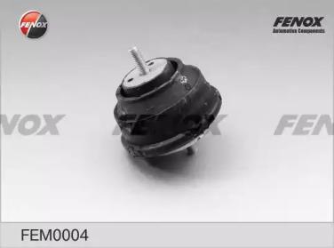 FEM0004