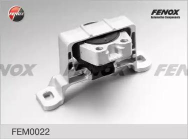 FEM0022