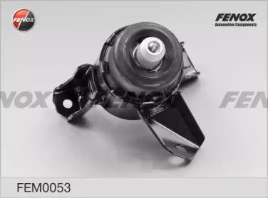 FEM0053