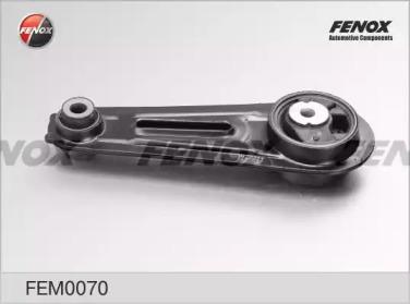 FEM0070