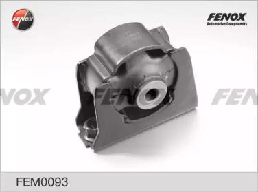 FEM0093