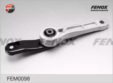 FEM0098
