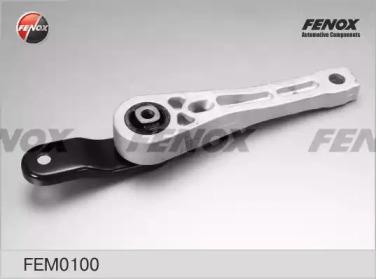 FEM0100