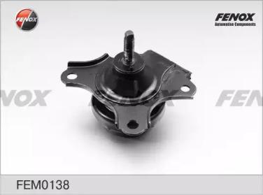 FEM0138