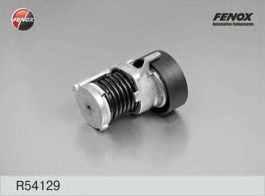 R54129