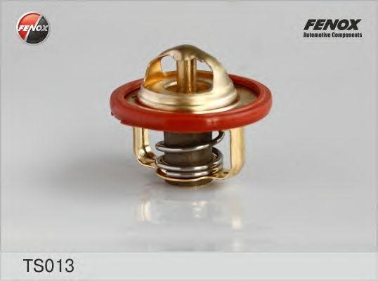 TS013
