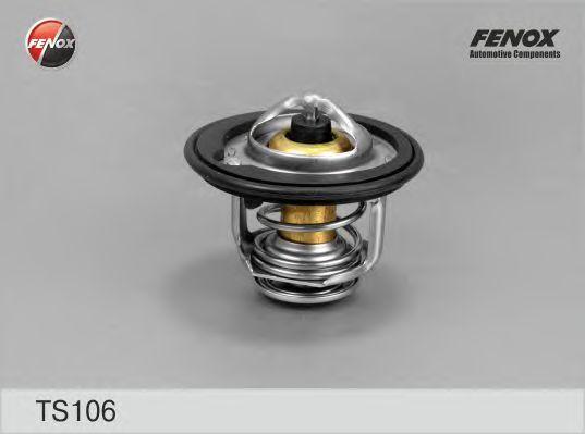 TS106