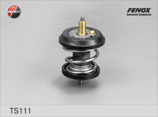 TS111