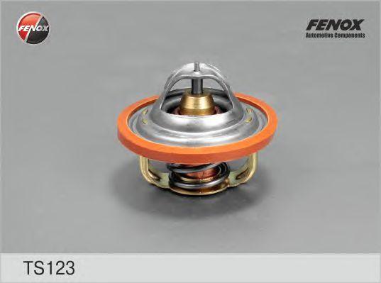 TS123