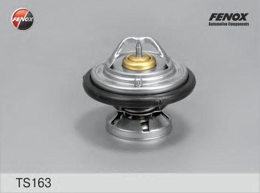 TS163