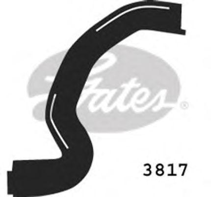 3817