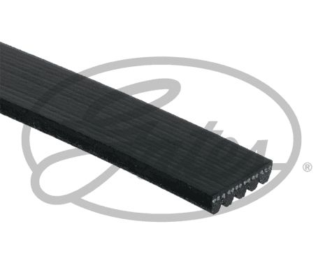 5PK838