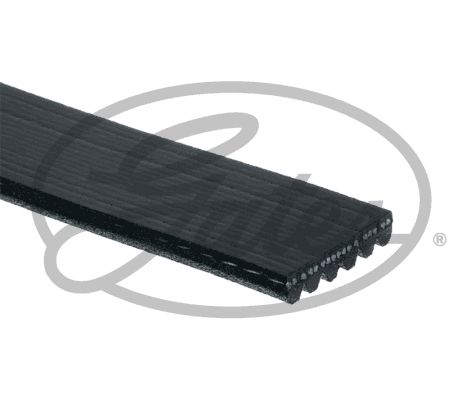 6PK1263