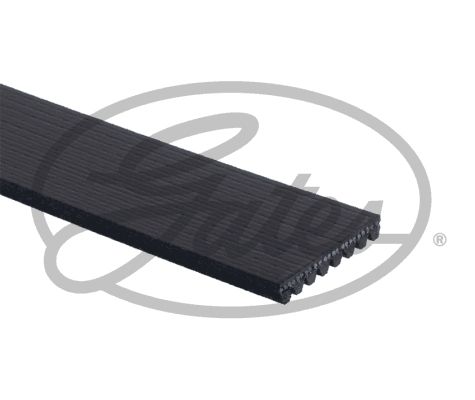 8PK1553HD
