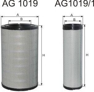 AG 1019