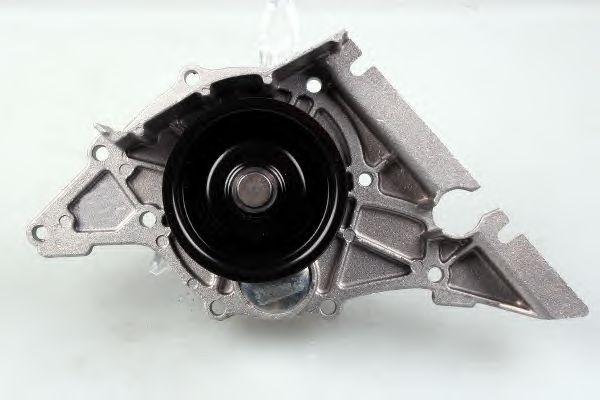 P544
