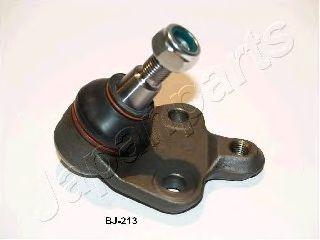 BJ-213
