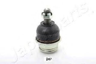BJ-247