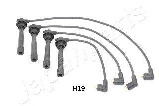 IC-H19
