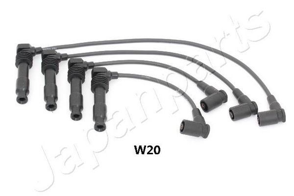 IC-W20