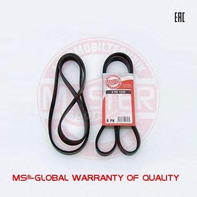 6PK1250-PCS-MS