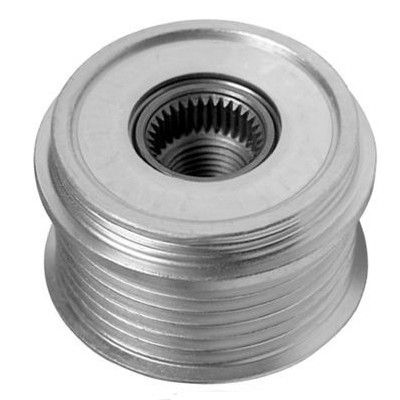 45031