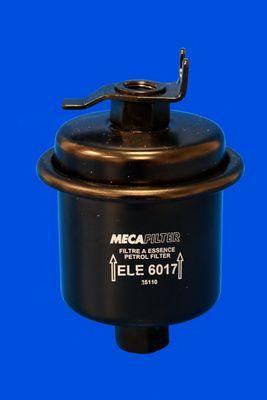 ELE6017