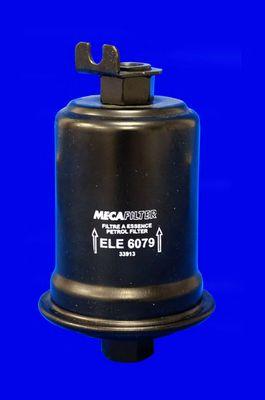 ELE6079