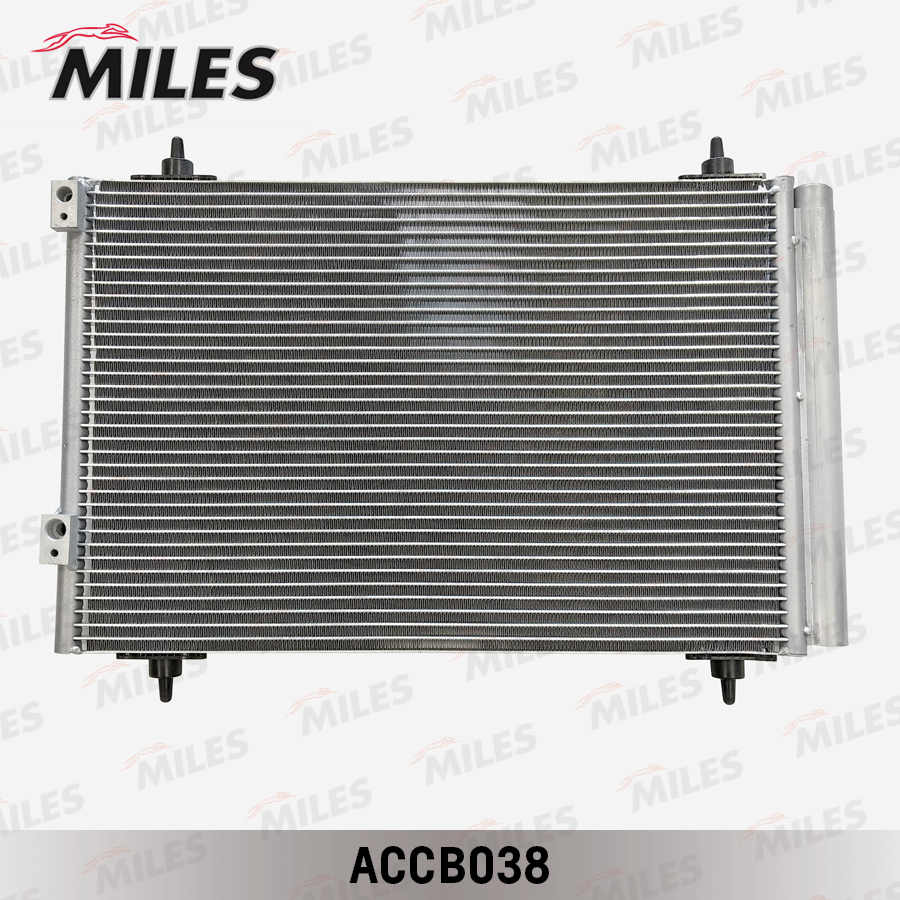 ACCB038