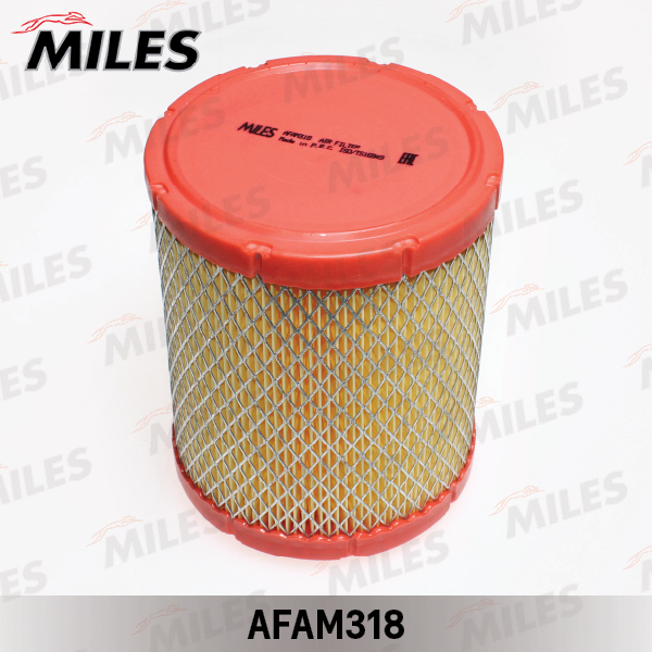 AFAM318