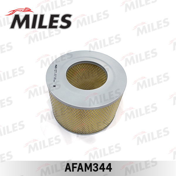 AFAM344