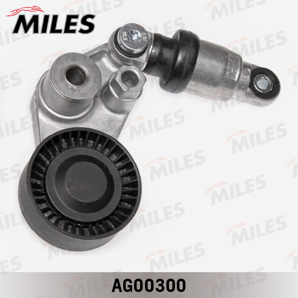 AG00300