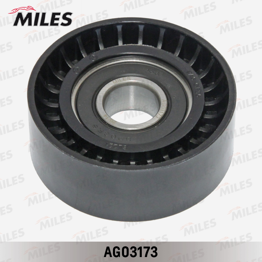 AG03173