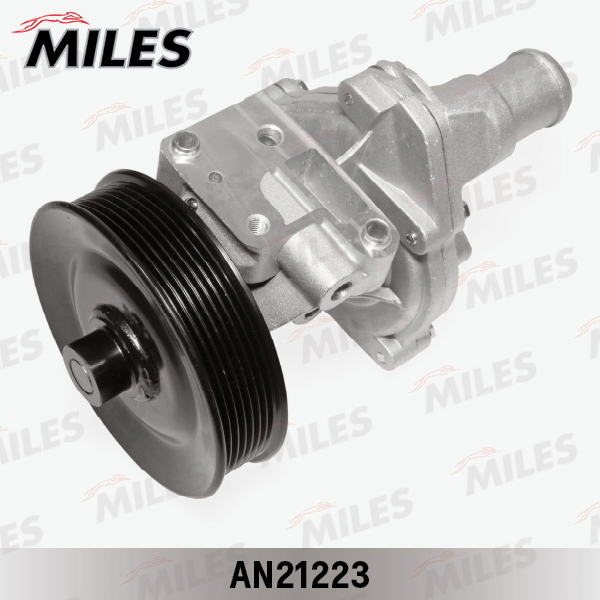AN21223