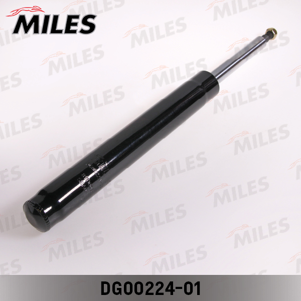DG00224-01