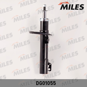 DG01055