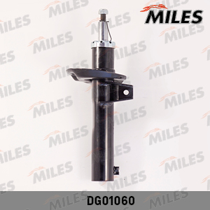 DG01060