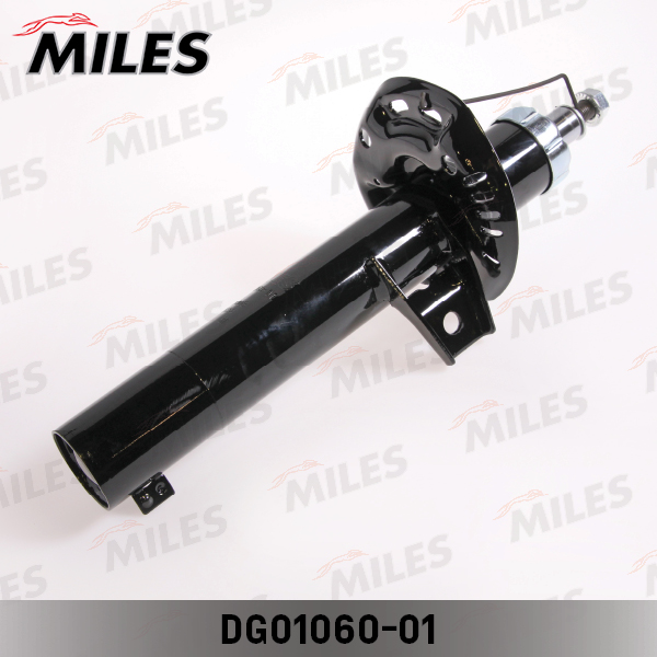 DG01060-01