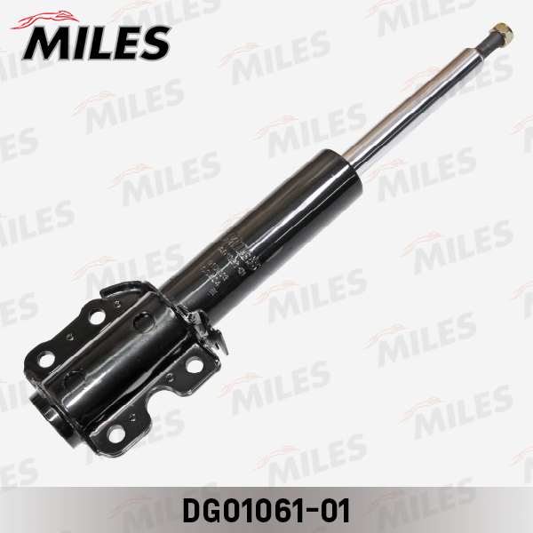 DG01061-01
