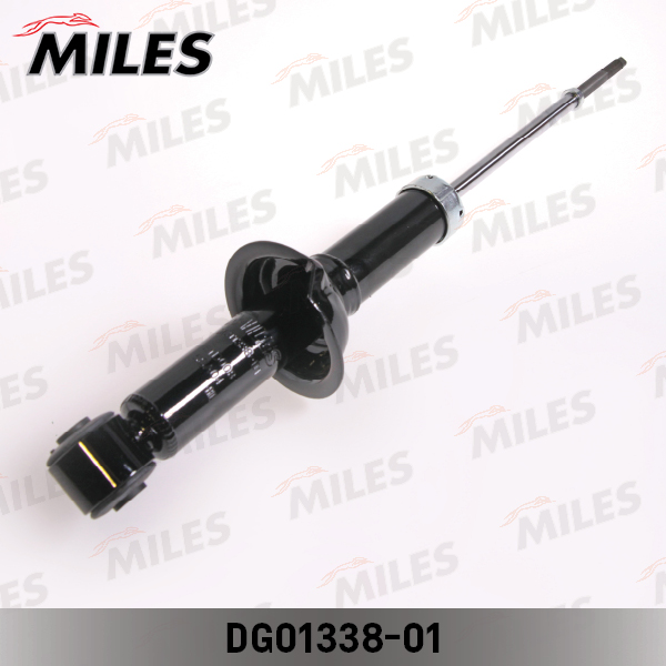 DG01338-01