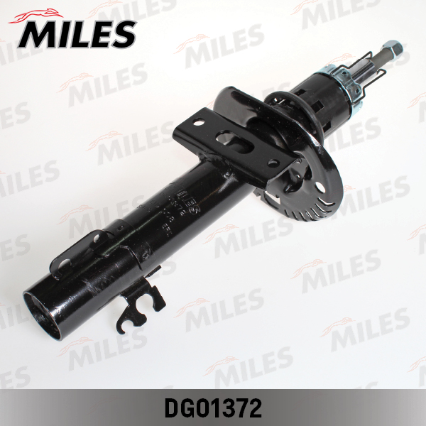DG01372