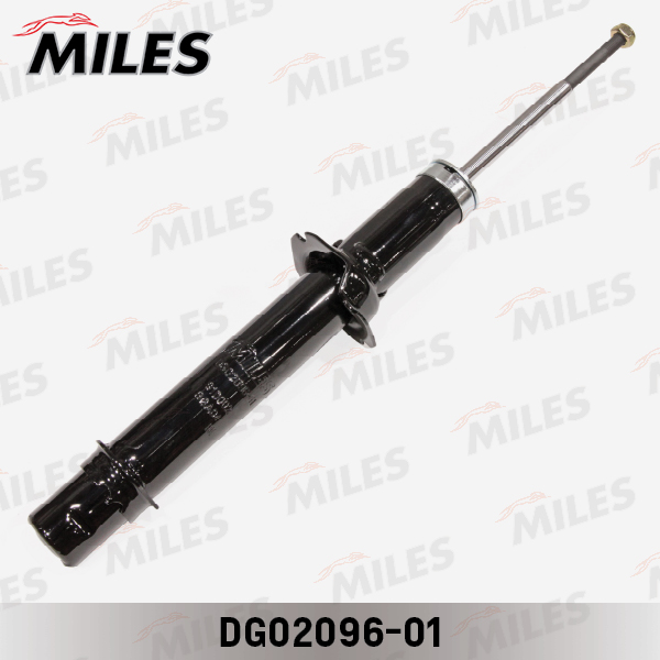 DG02096-01