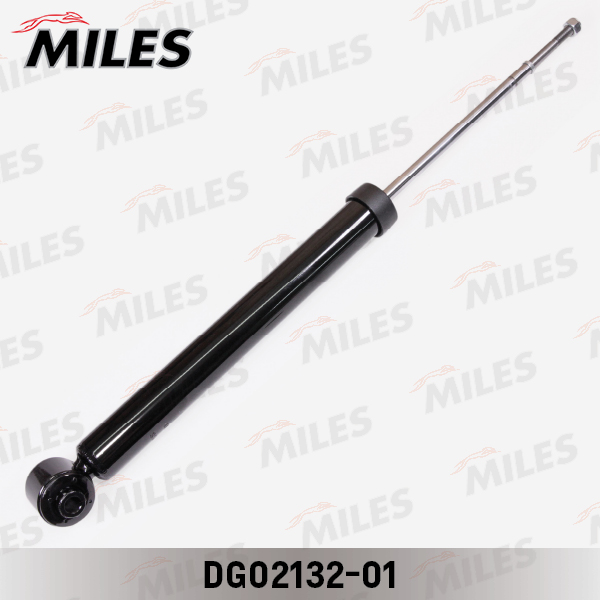 DG02132-01