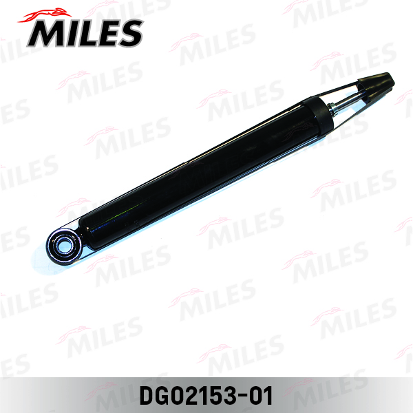 DG02153-01