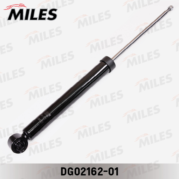 DG02162-01