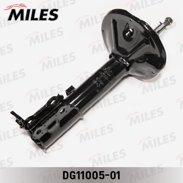 DG11005-01